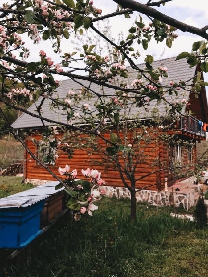 Загородные дома Sadyba Pid Pikujem Bilasovytsya-33